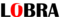 LOBRA车膜-1.png